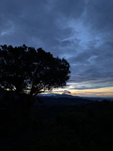 Load image into Gallery viewer, Panama Producer Meet & Greet w/ Keith Pech